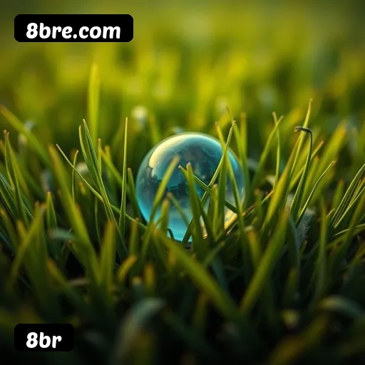 Comparação APP mobile vs versão web da 8br